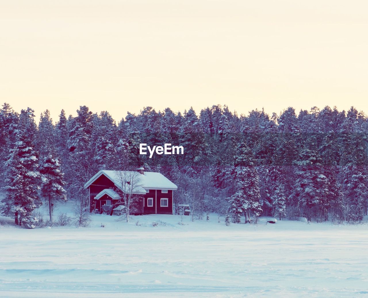 HOUSE ON SNOW COVERED FIELD BY TREES AGAINST SKY DURING WINTER