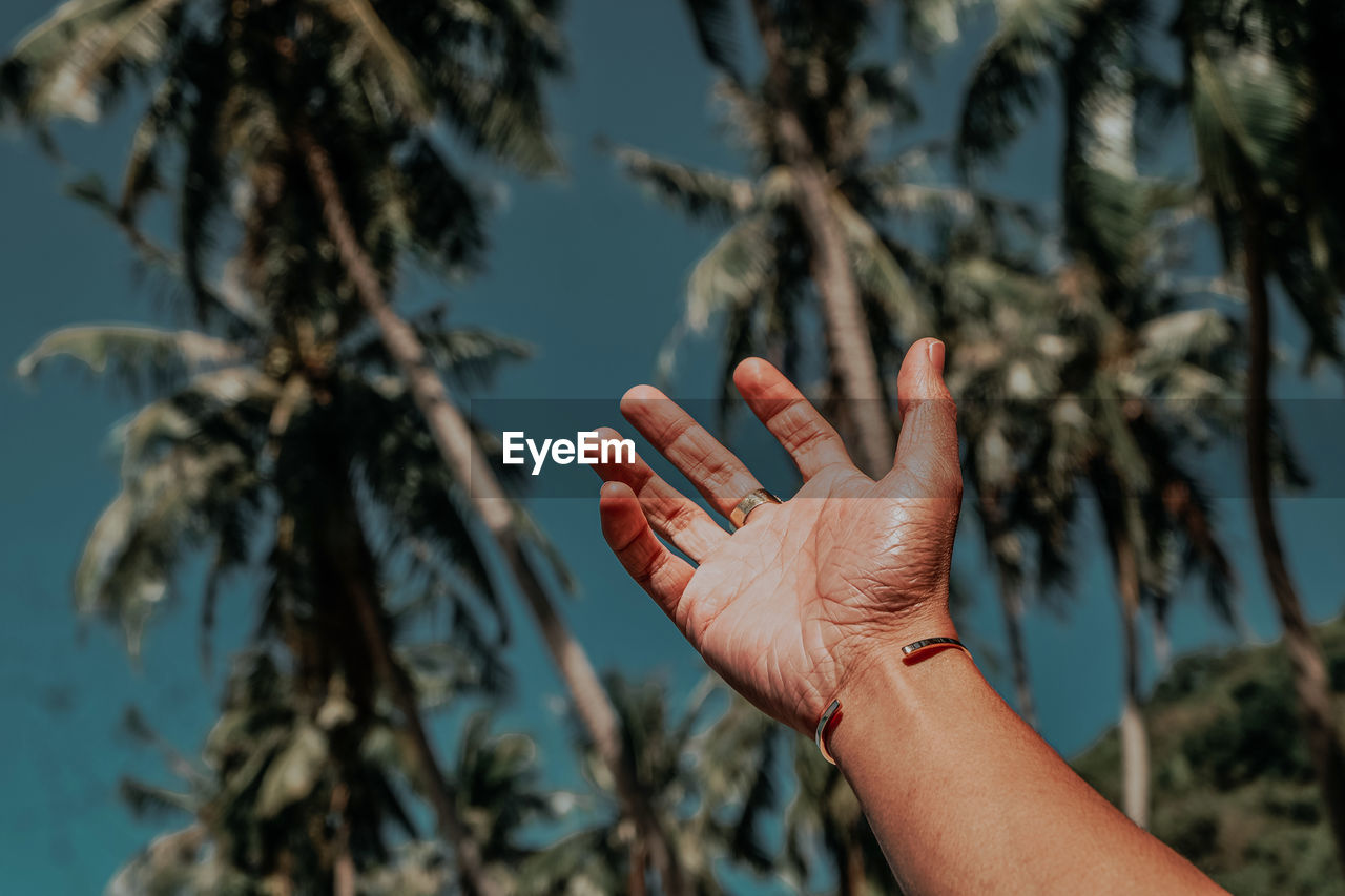 Close-up of hand gesturing against trees