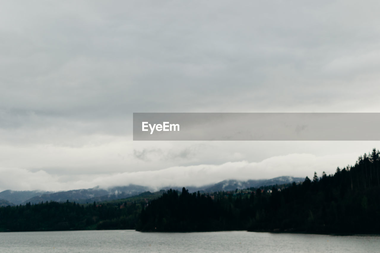 Scenic view of lake in forest against sky