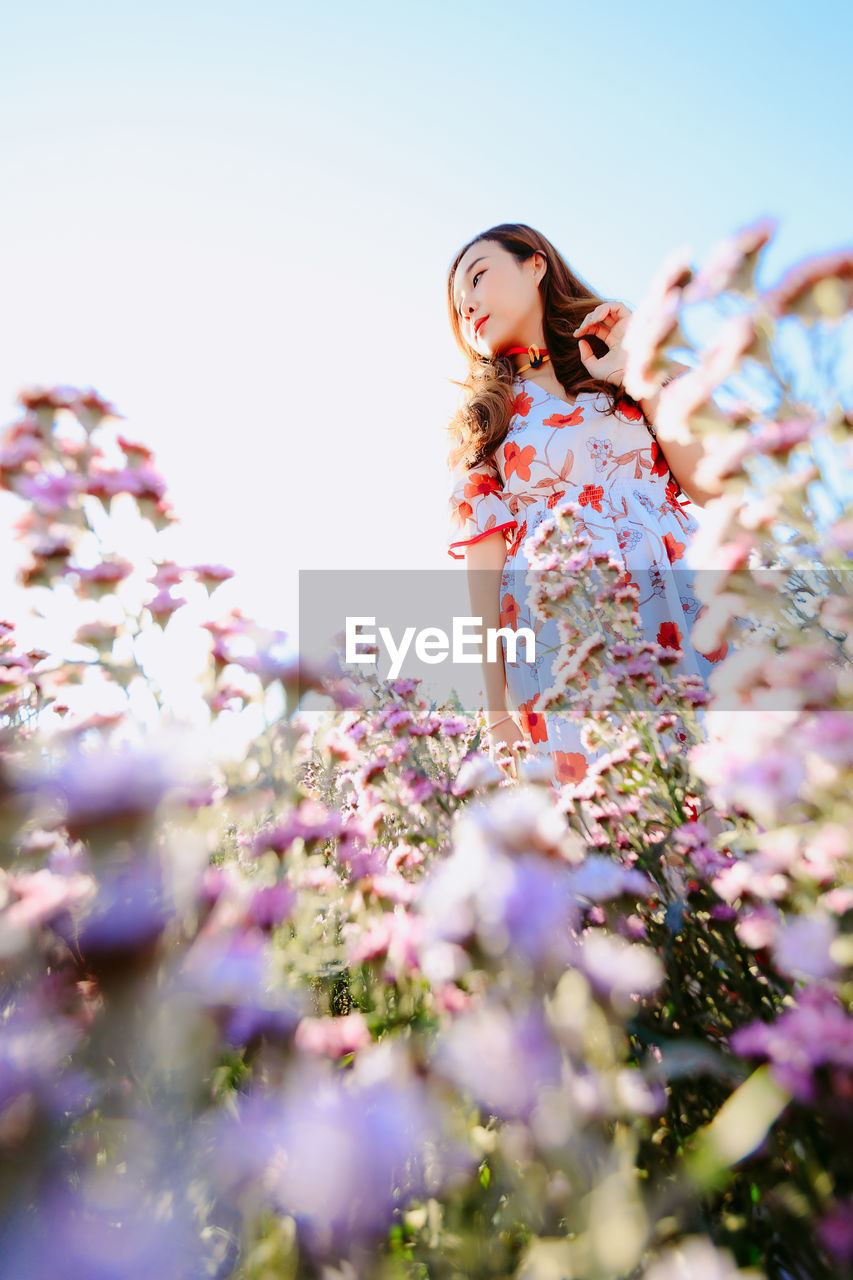 Beautiful pretty woman in a margaret aster flowers fields at chiang mai, thailand