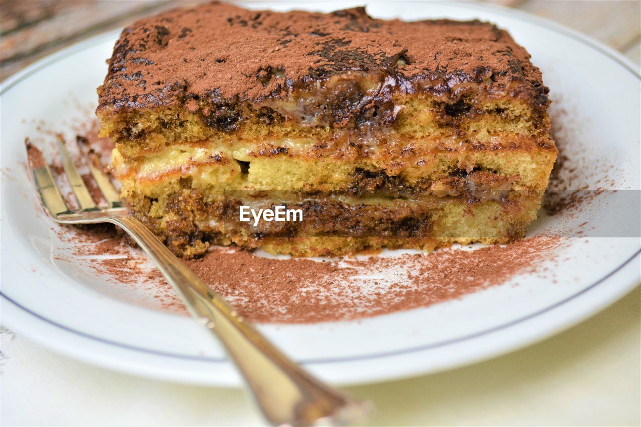 HIGH ANGLE VIEW OF CHOCOLATE CAKE IN PLATE