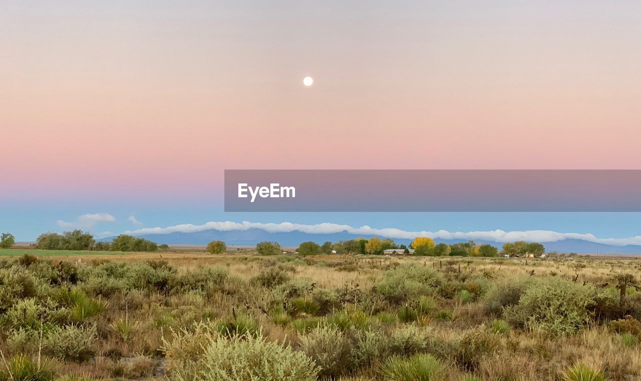 Scenic view of field against sky during sunset