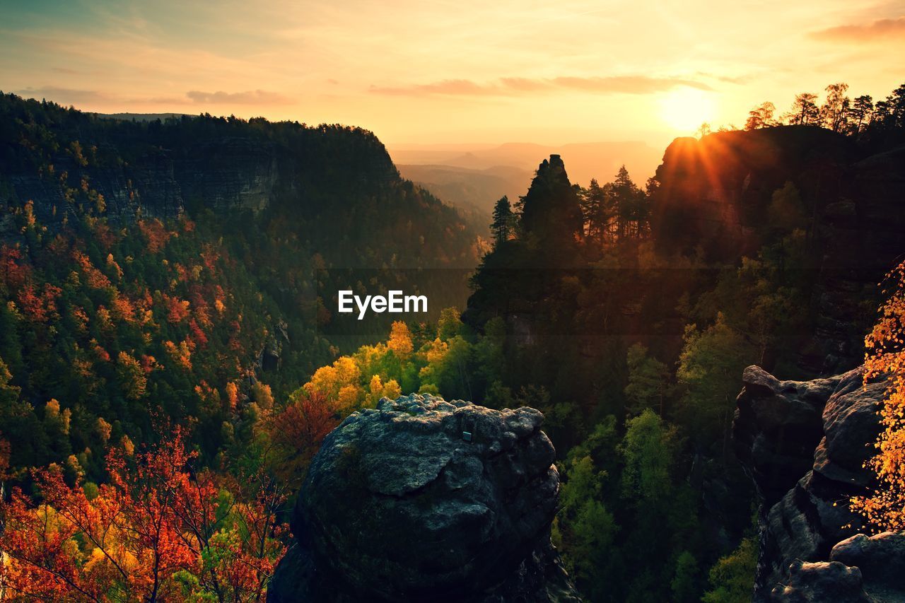 Autumn sunset view over colorful rocks to fall valley of bohemian switzerland.