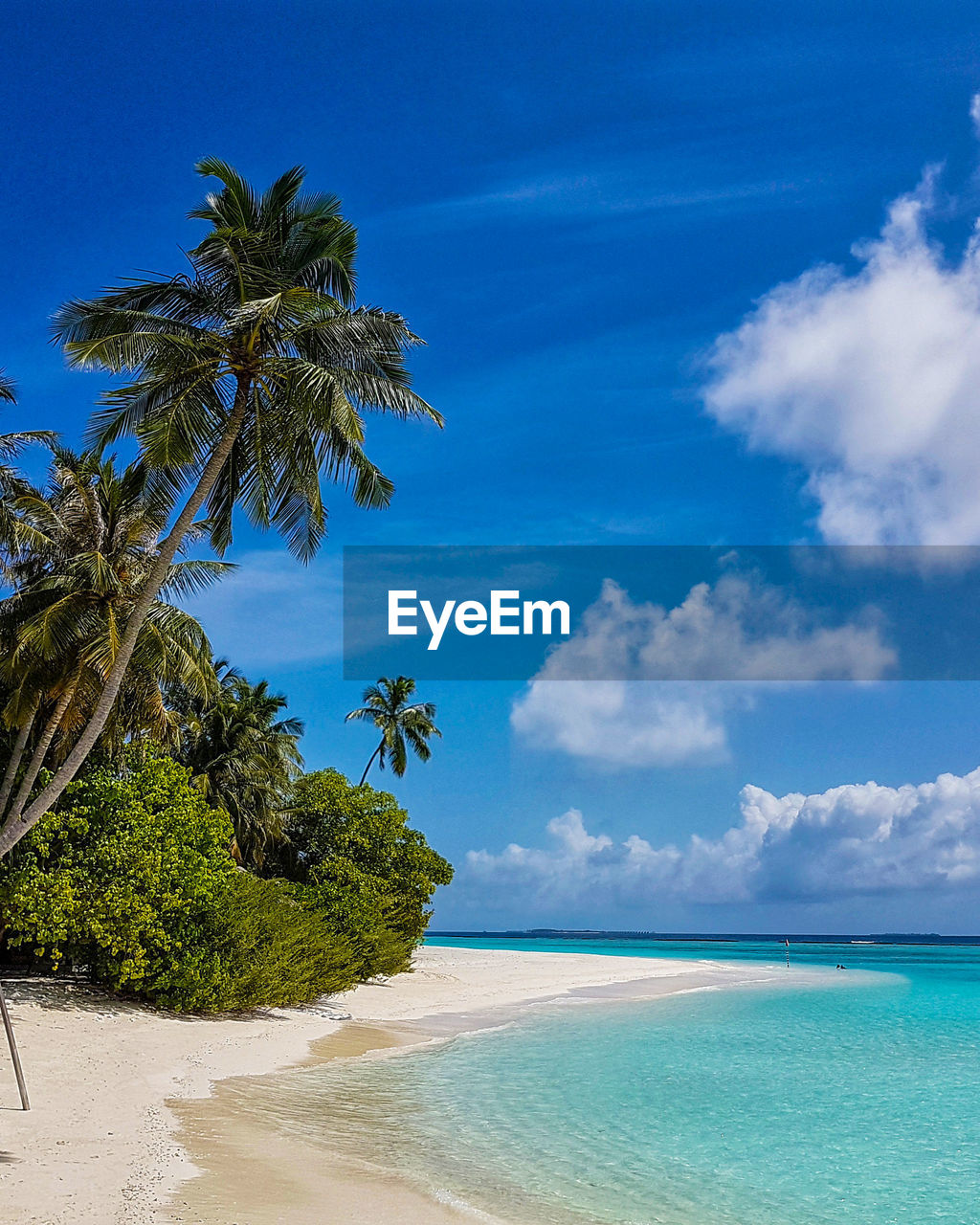 SCENIC VIEW OF PALM TREES ON BEACH AGAINST SKY