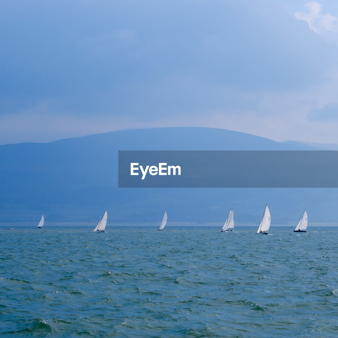 water, sea, nautical vessel, sailboat, transportation, sailing, mode of transportation, ship, sky, nature, ocean, travel, beauty in nature, vehicle, boat, blue, yacht, scenics - nature, cloud, no people, sailing ship, day, regatta, horizon, outdoors, bay, motion, yachting, environment, sports, horizon over water, tranquil scene, tranquility, competition, animal wildlife, animal