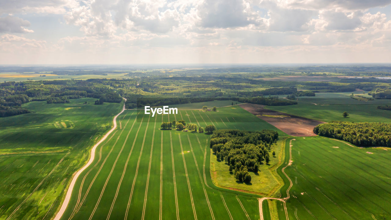 Aerial view to countryside with green agricultural fields and forests, latvia
