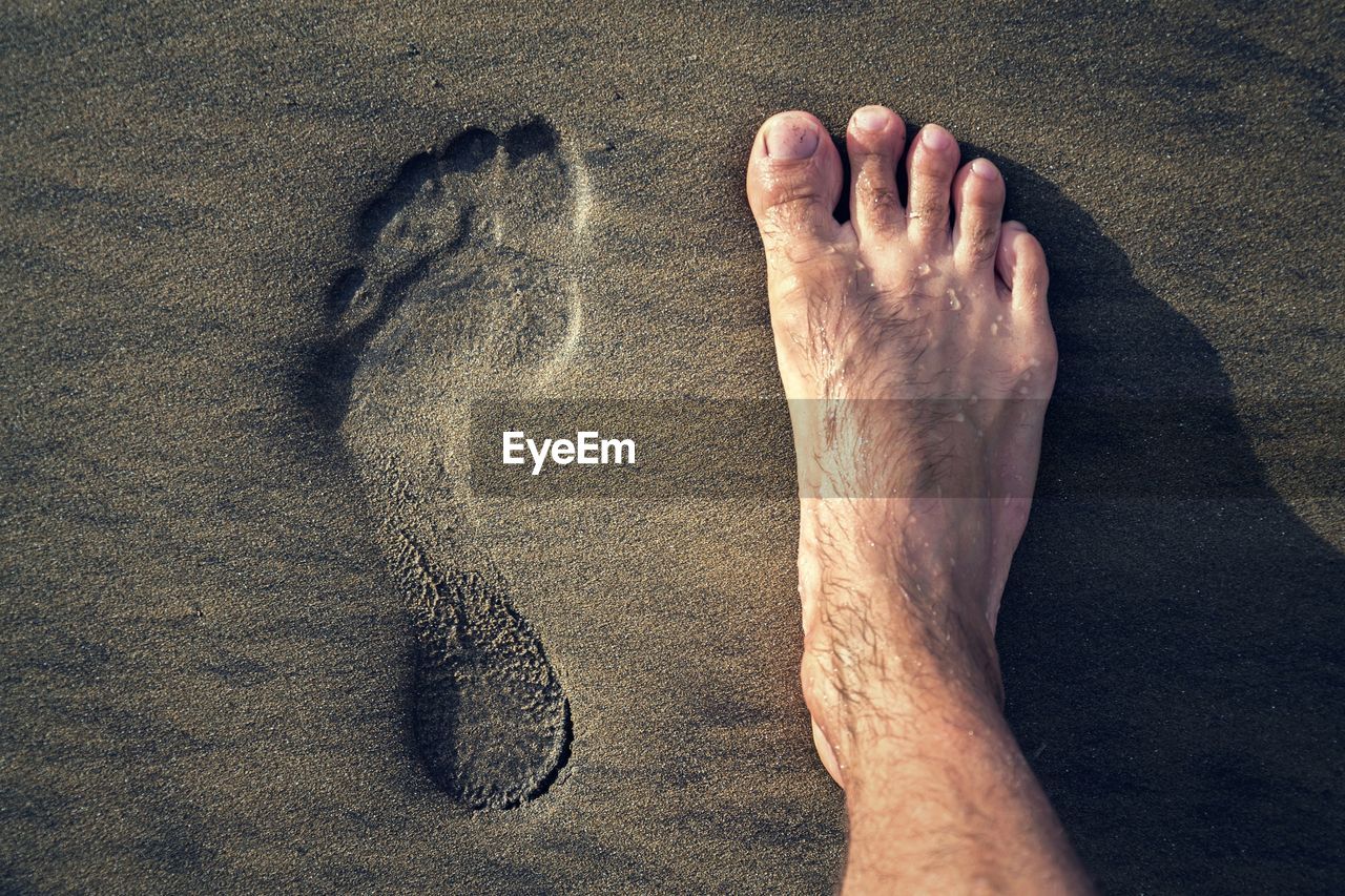 barefoot, sand, beach, land, one person, low section, human leg, hand, limb, high angle view, human foot, personal perspective, toe, leisure activity, nature, close-up, lifestyles, day, vacation, trip, adult, water, men, holiday, arm, footprint, sea, finger, relaxation, sunlight, human limb, skin, outdoors