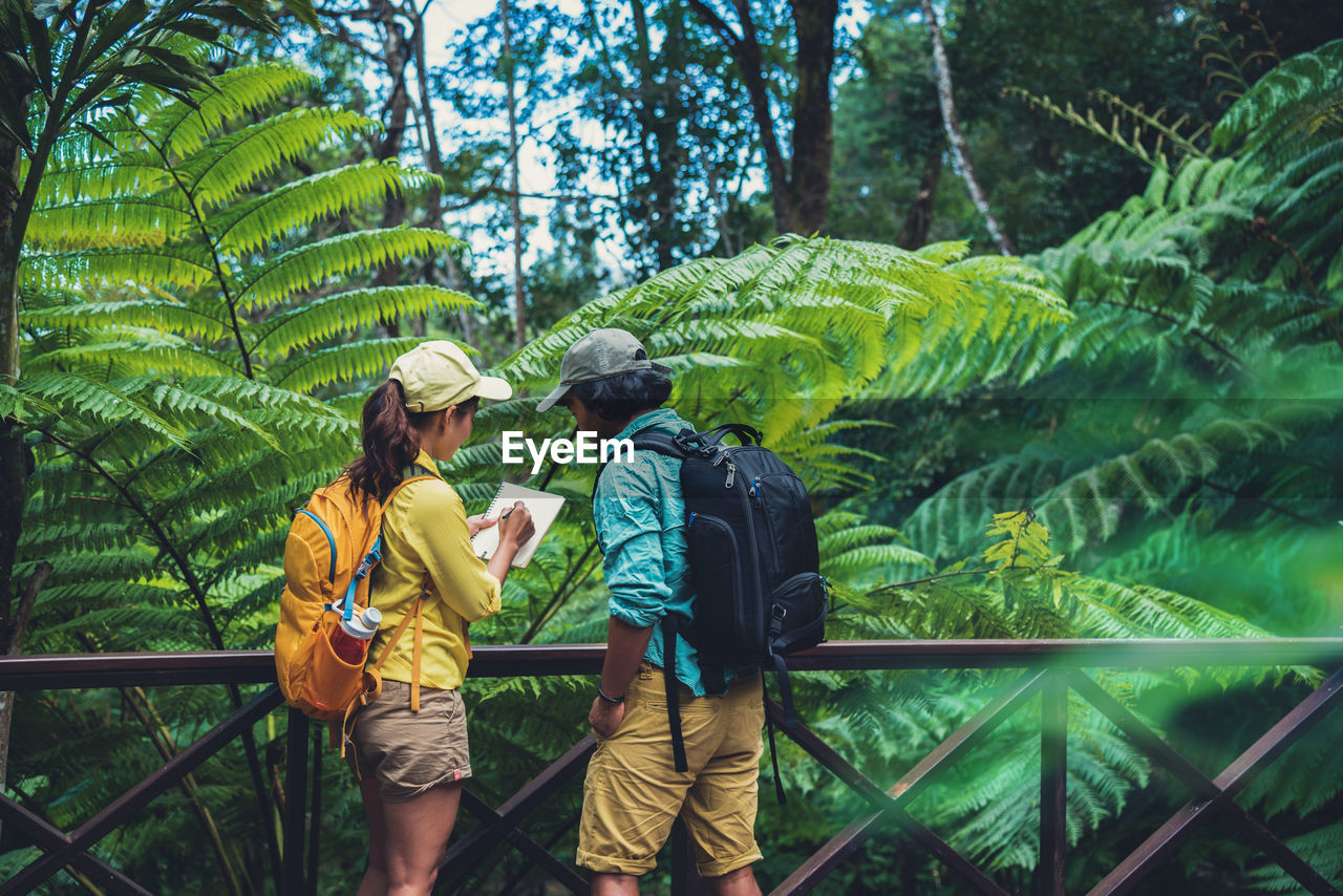 People standing at forest