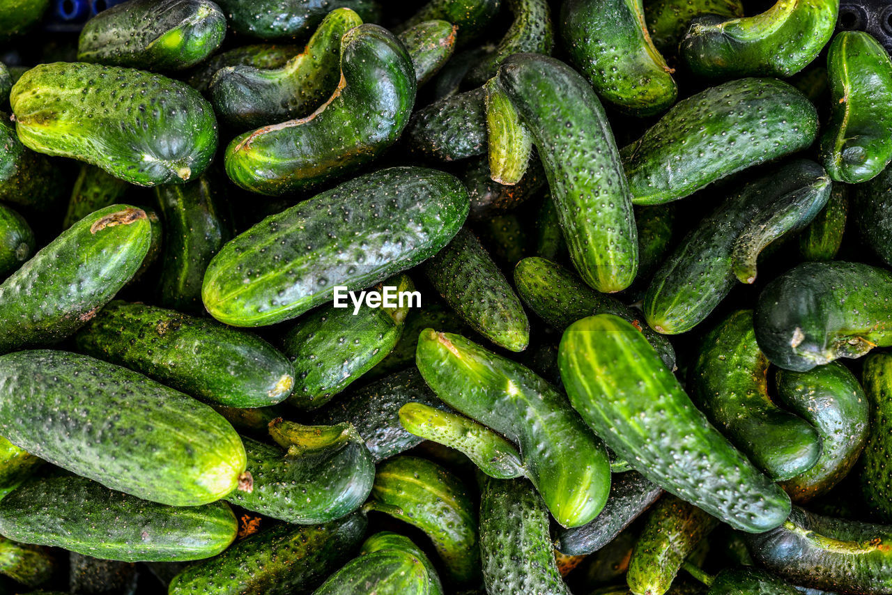 Full frame shot of cucumbers