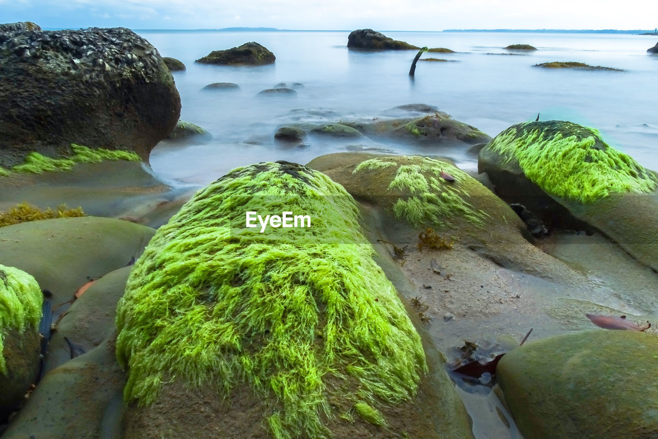 Scenic view of rocks at sea shore