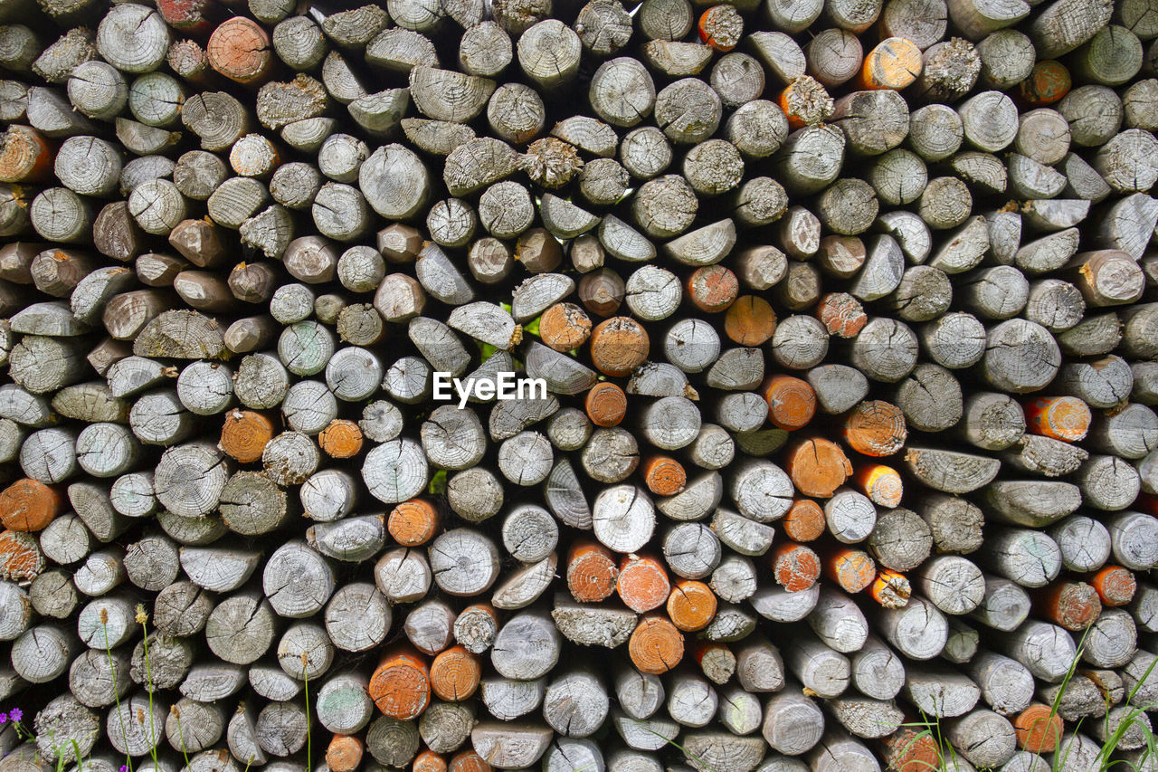 large group of objects, timber, log, lumber industry, firewood, wood, deforestation, abundance, backgrounds, full frame, forest, environmental issues, power generation, tree, logging, fossil fuel, no people, soil, woodpile, heap, arrangement, pattern, environmental damage, shape, day, repetition, nature, textured, flooring, outdoors, close-up, trunk, leaf, pebble, wall