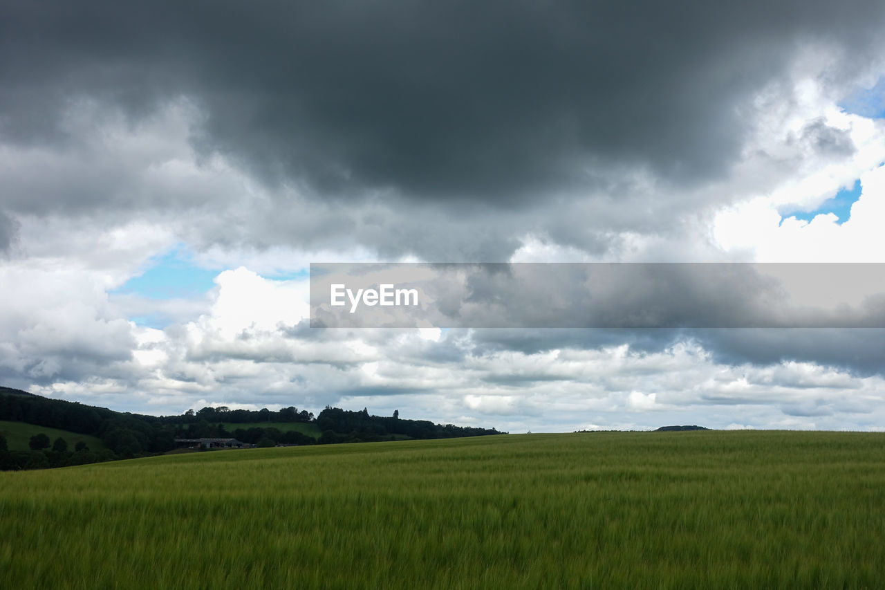 SCENIC VIEW OF FARMS AGAINST SKY