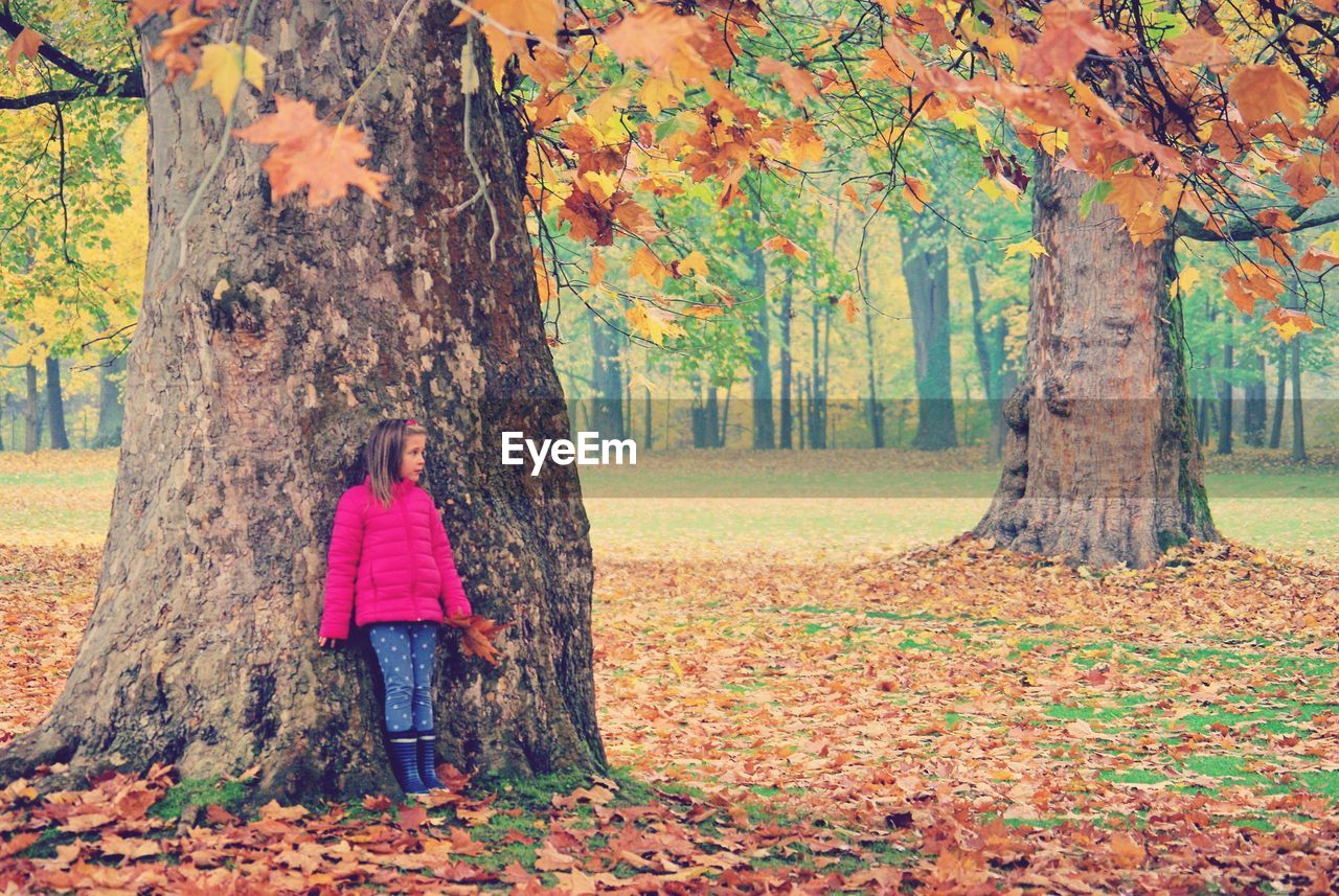 Girl standing by tree trunk at park during autumn