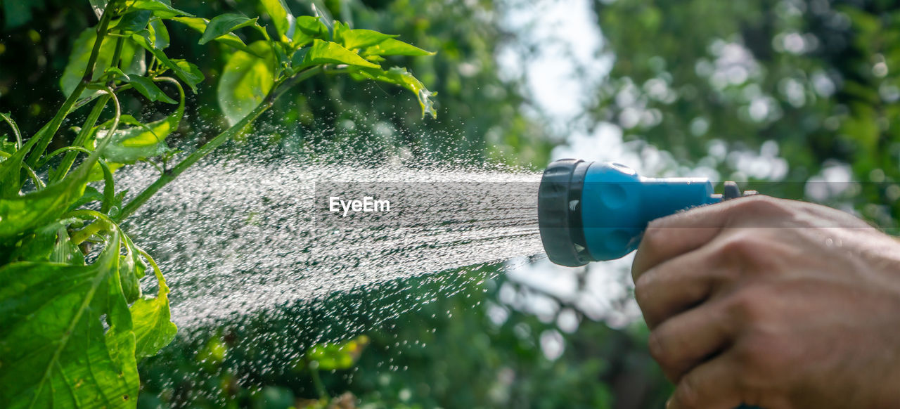 Gardening with water in summer