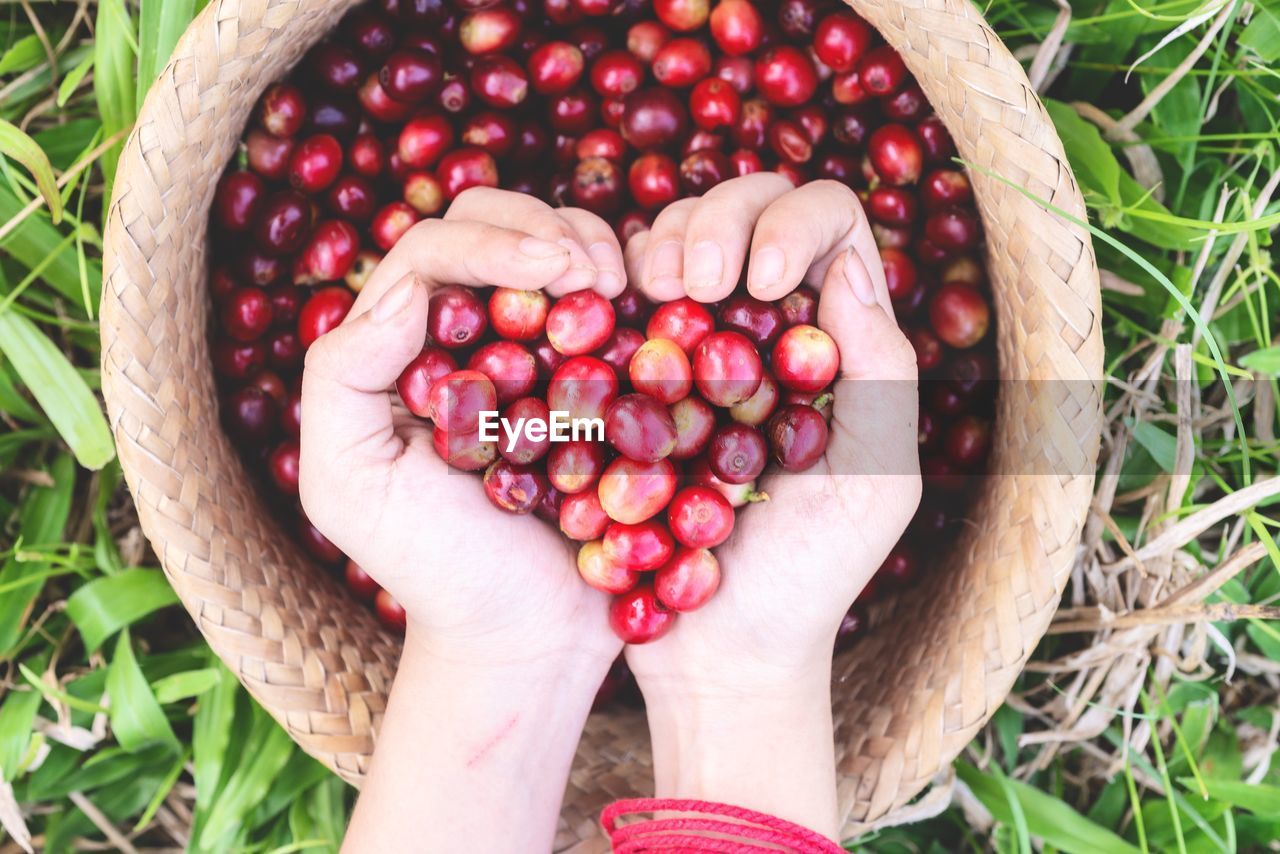 Cropped hands holding coffee beans in heart shape gesture