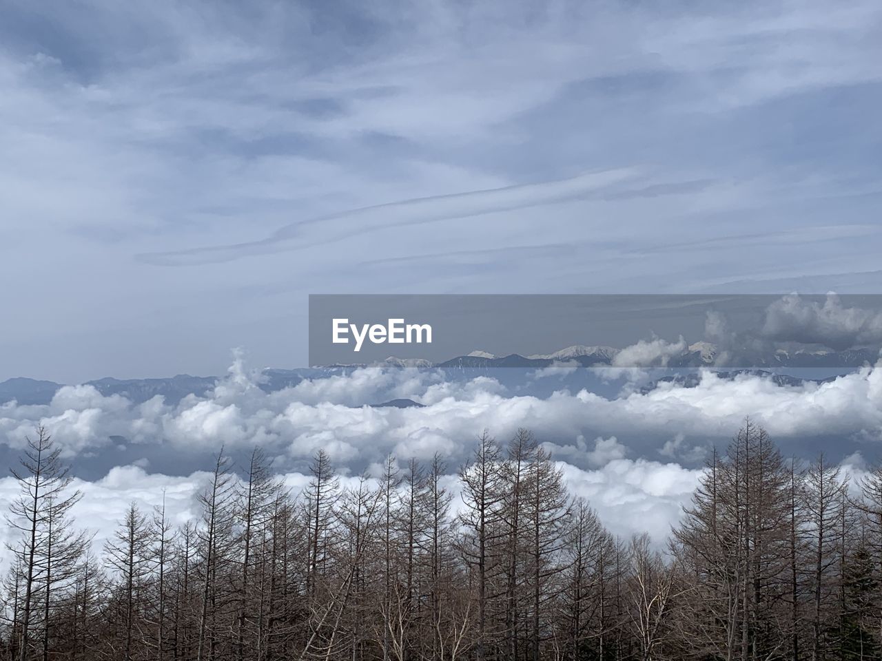 Scenic view of snow covered land against sky