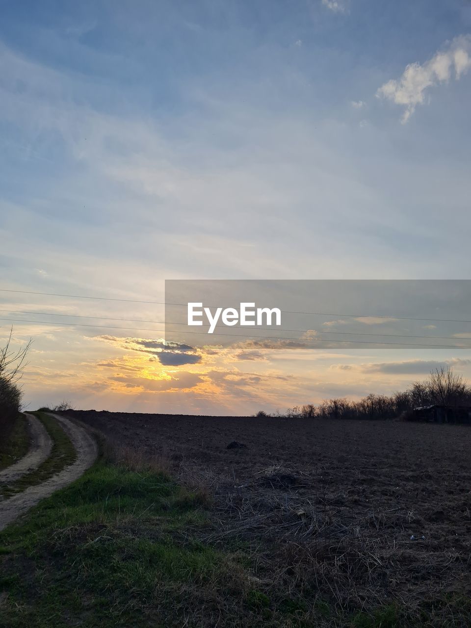 SCENIC VIEW OF FIELD DURING SUNSET