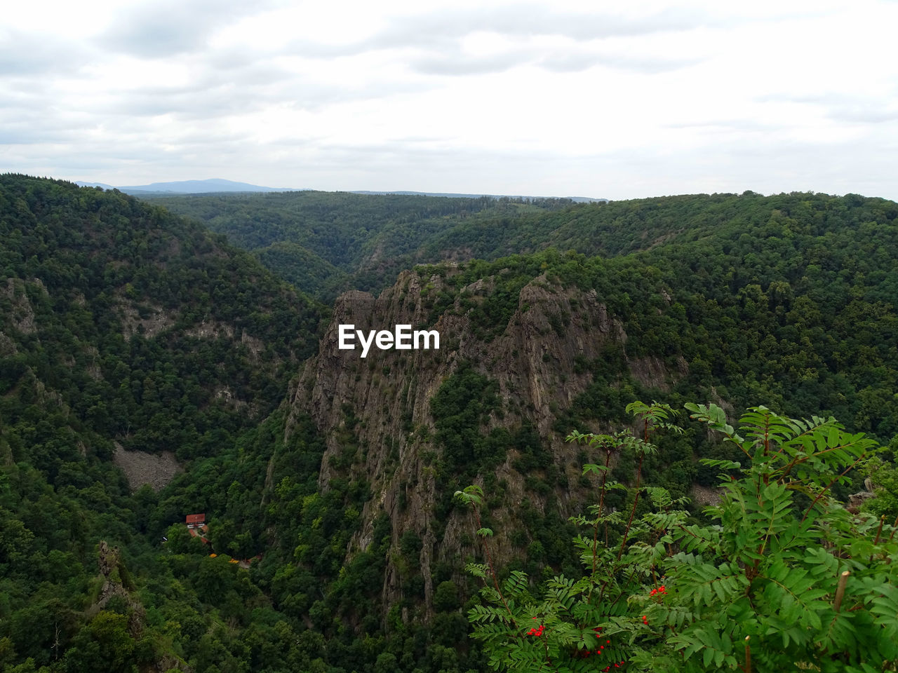 HIGH ANGLE VIEW OF TREES ON MOUNTAIN AGAINST SKY