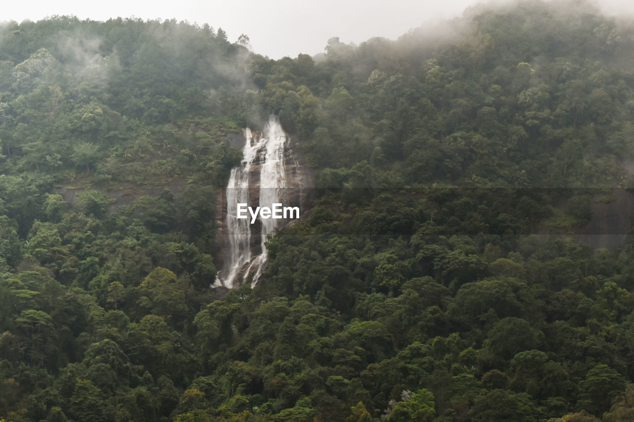 WATERFALL IN FOREST