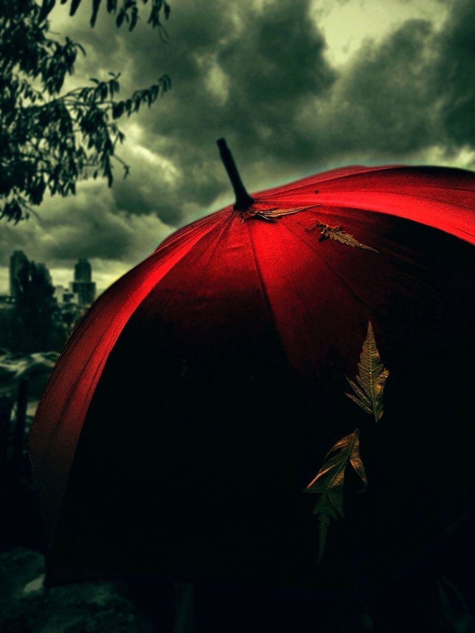 Close up of red umbrella