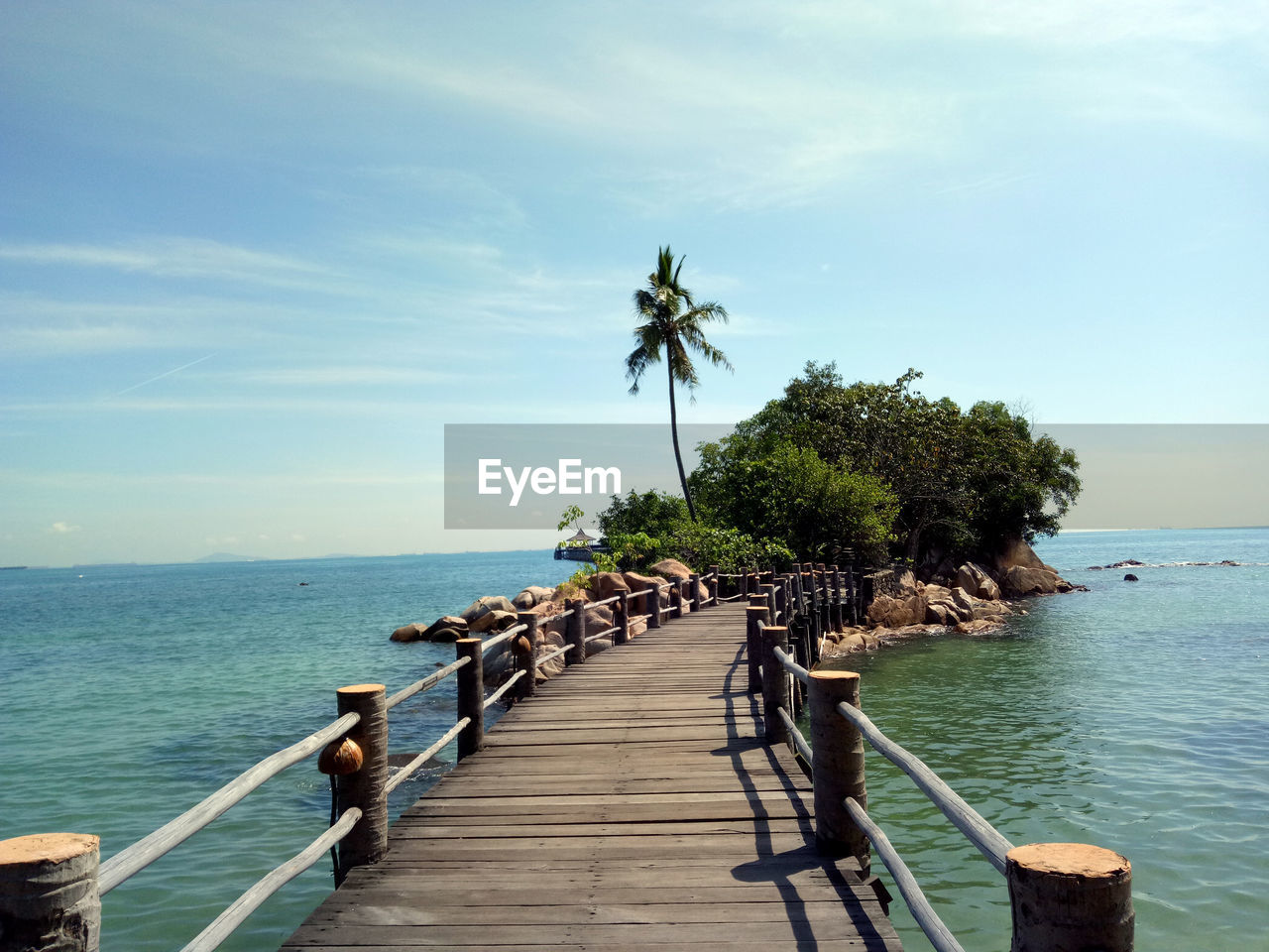 Palm trees on pier by sea against sky