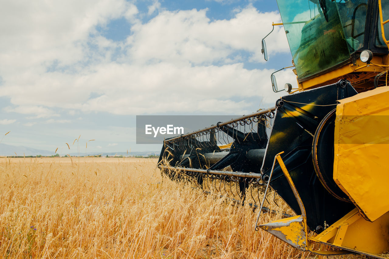 Close-up view of yellow tractor plowing field and collecting ears