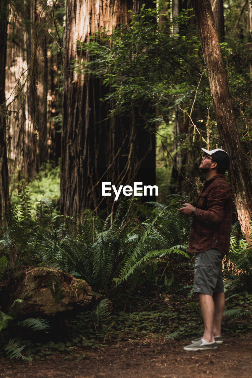 Full length of young man standing by tree in forest operating drone remote control looking up