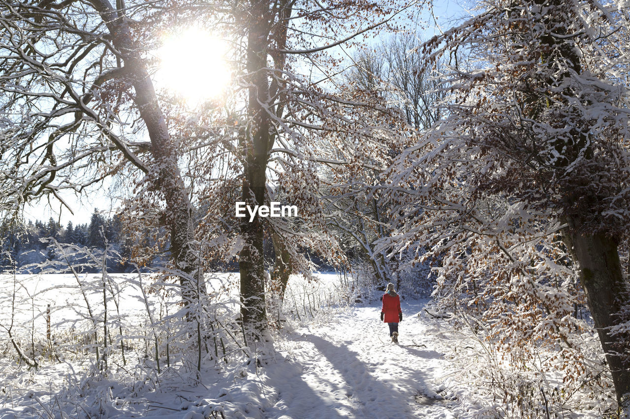 Woman walking on snow covered field amidst trees