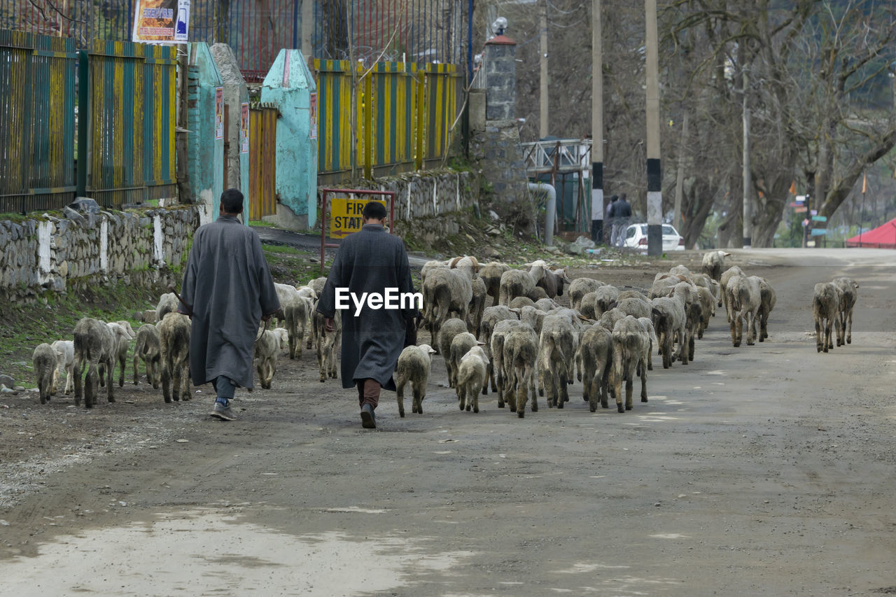 REAR VIEW OF PEOPLE WALKING ON STREET