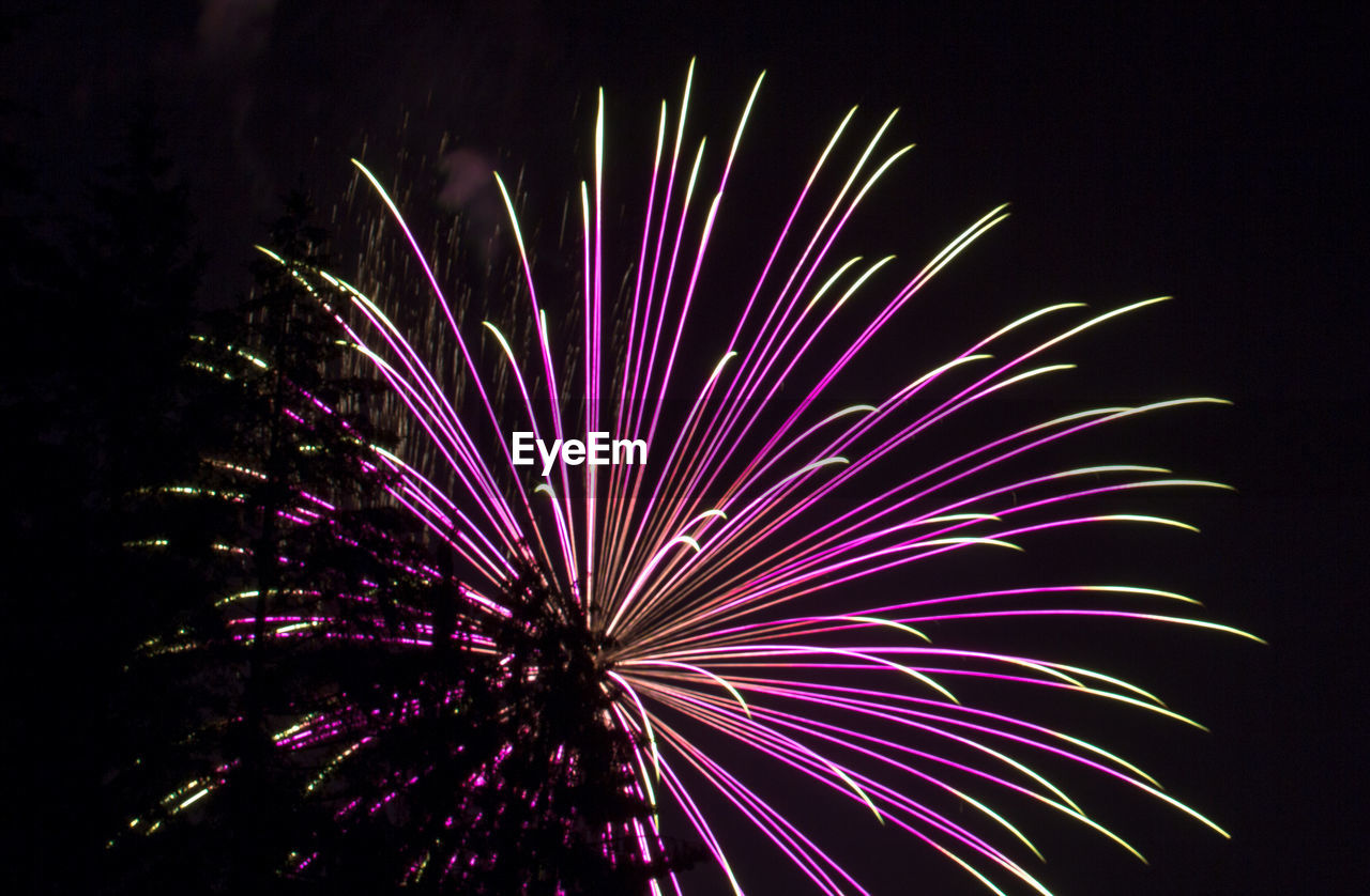 FIREWORK DISPLAY AT NIGHT