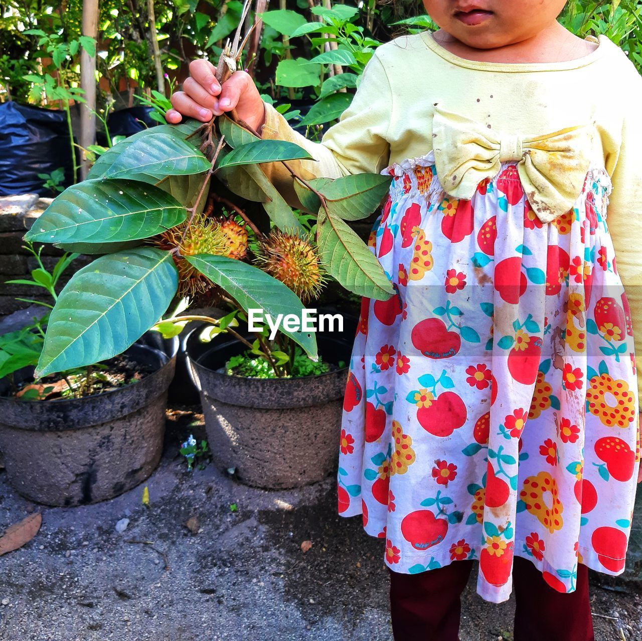 low section of girl standing amidst plants