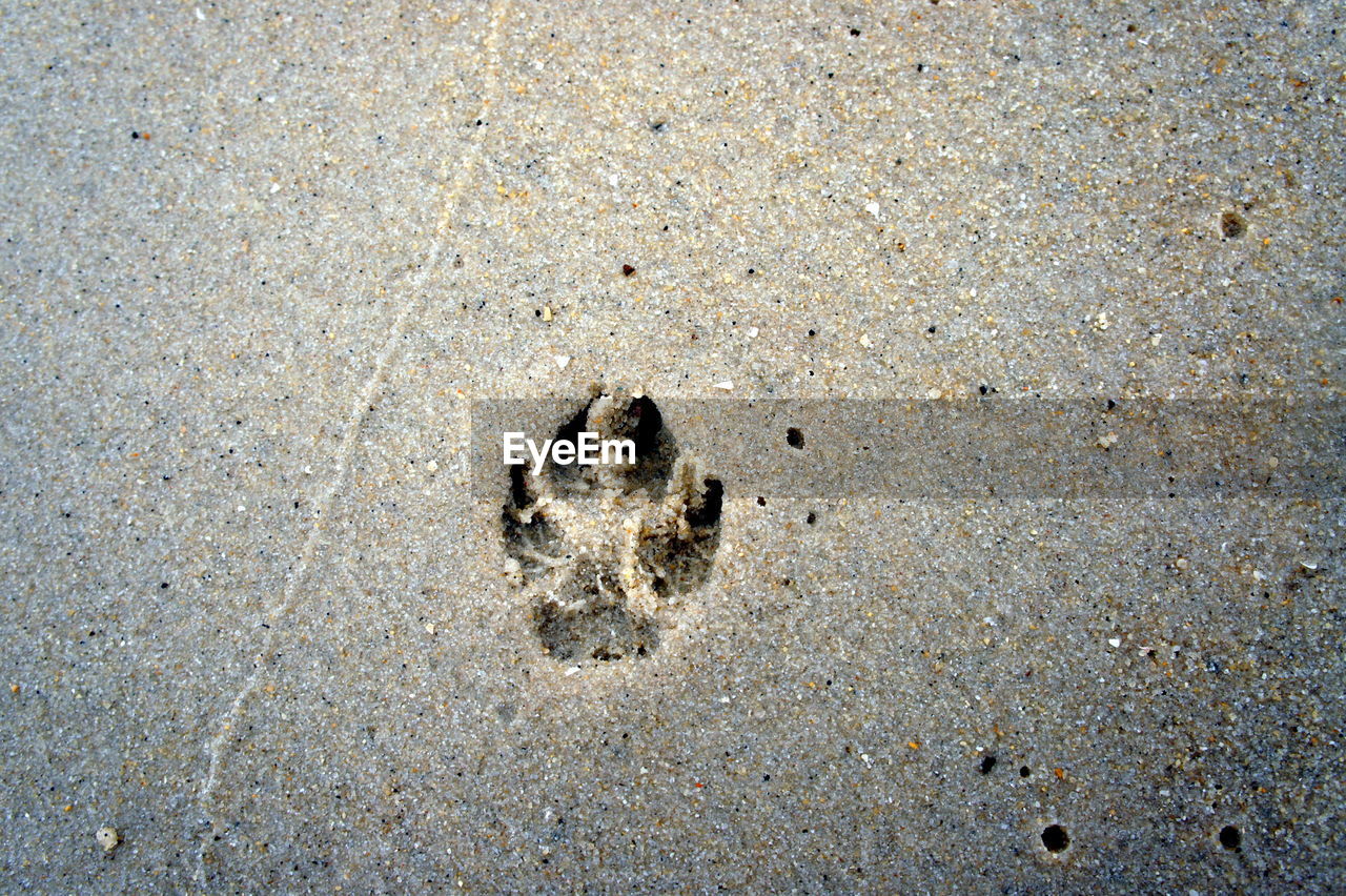 HIGH ANGLE VIEW OF FOOTPRINT ON SAND