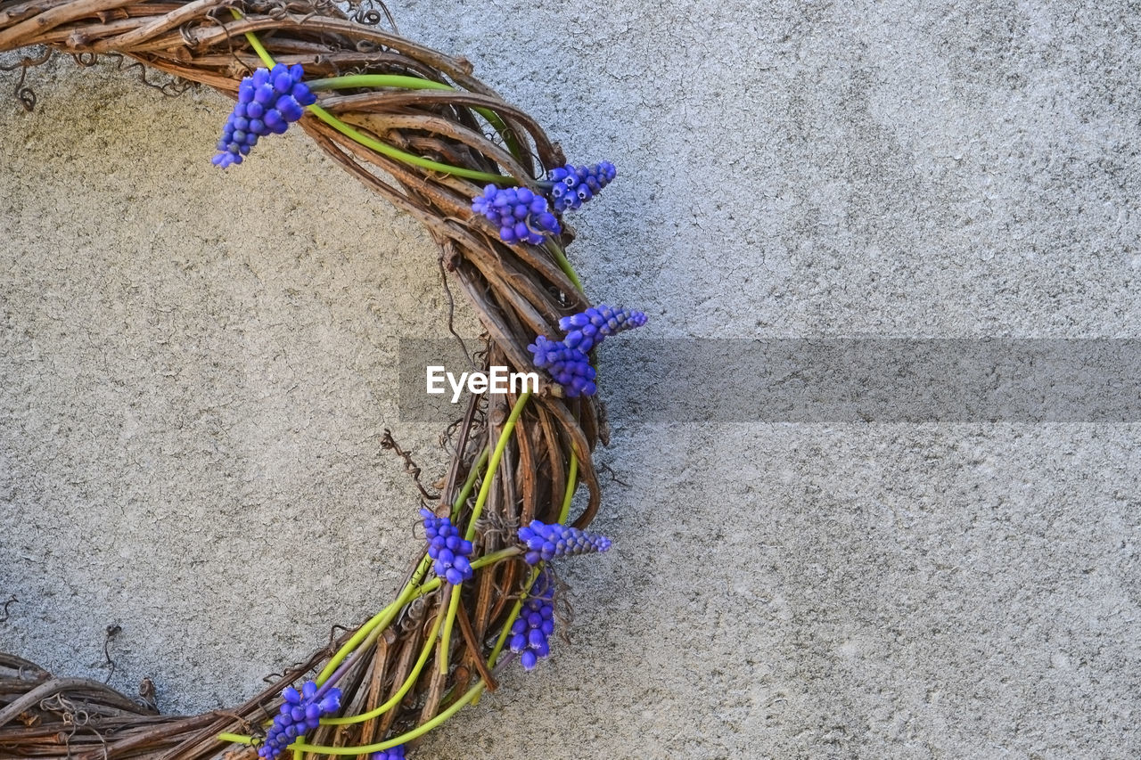 Close-up of wreath hanging on wall