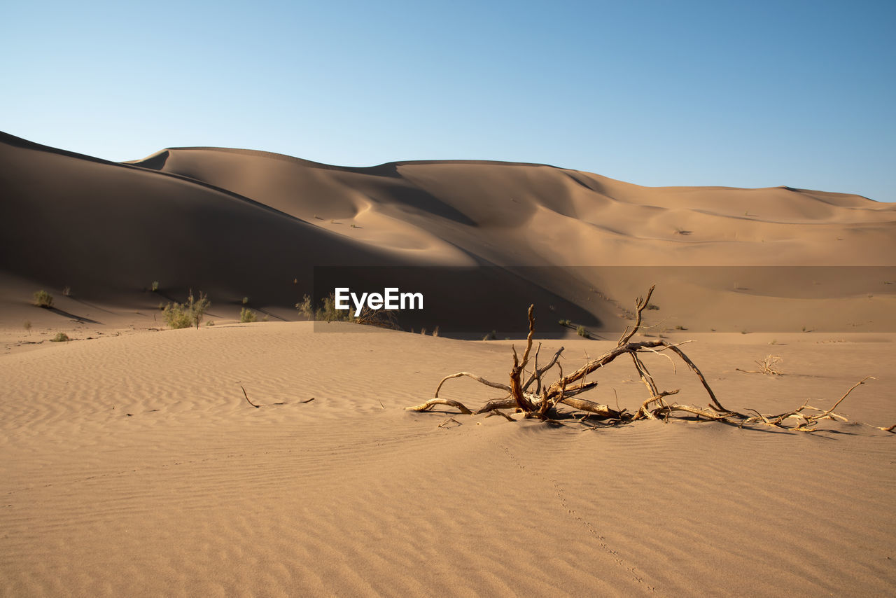 SAND DUNES IN DESERT AGAINST SKY