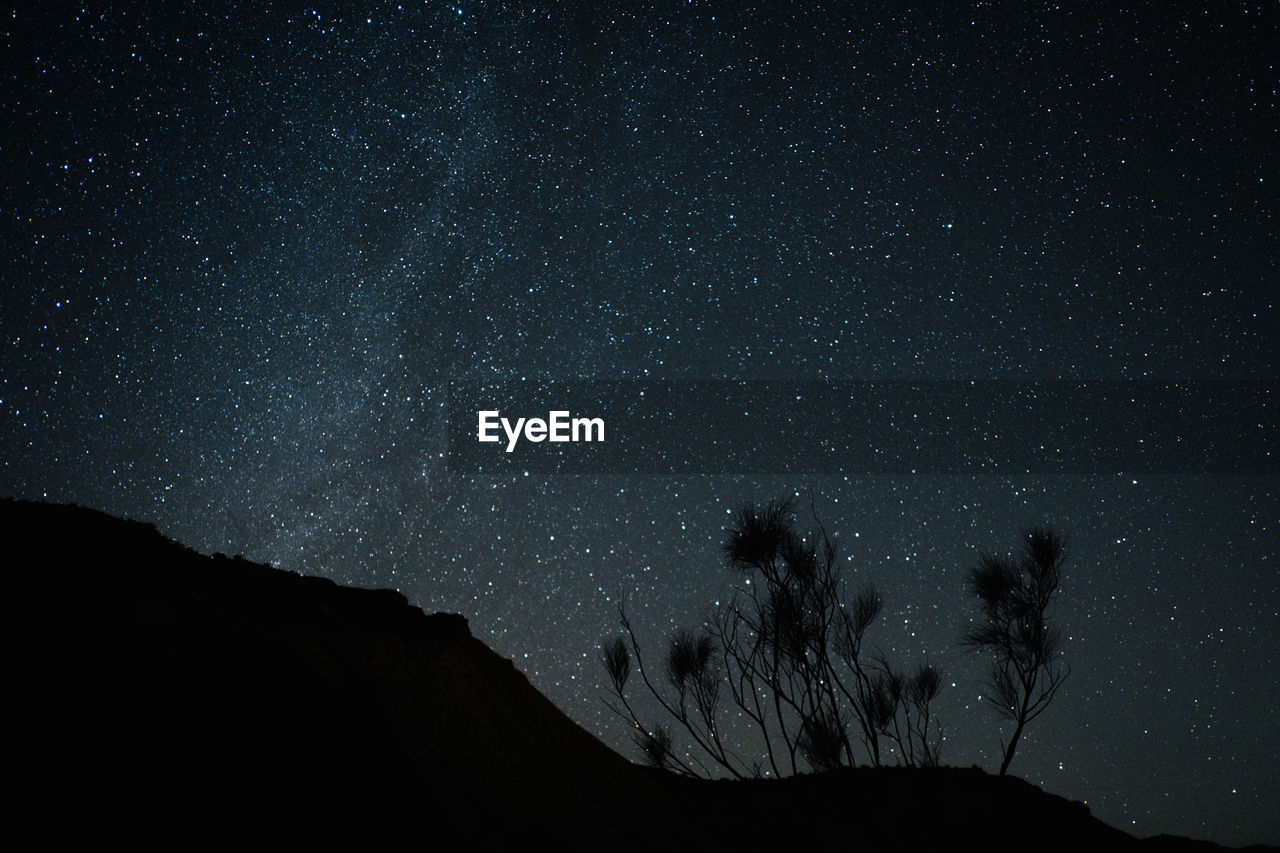 Low angle view of star field in sky at night