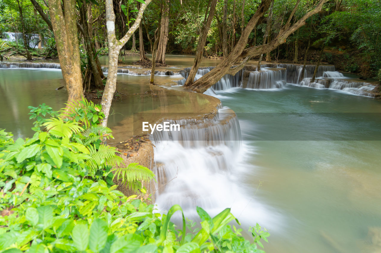 water, plant, tree, beauty in nature, watercourse, nature, body of water, scenics - nature, waterfall, river, forest, stream, environment, land, motion, flowing water, no people, water feature, green, water resources, travel destinations, tropical climate, outdoors, pond, non-urban scene, creek, long exposure, tranquility, rainforest, travel, environmental conservation, tranquil scene, landscape, flowing, day, idyllic, growth, jungle, tourism, social issues, natural environment, leaf, plant part, lush foliage, foliage