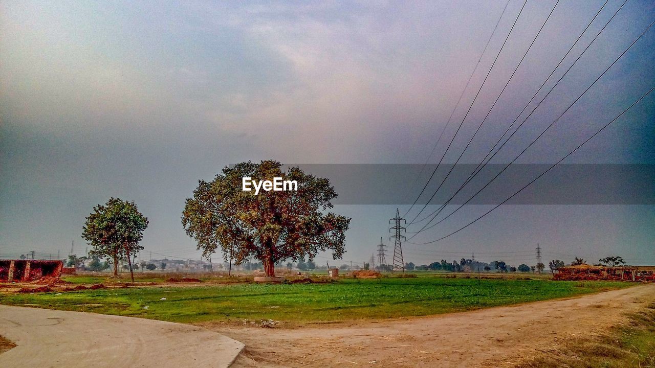 TREES ON FIELD AGAINST SKY