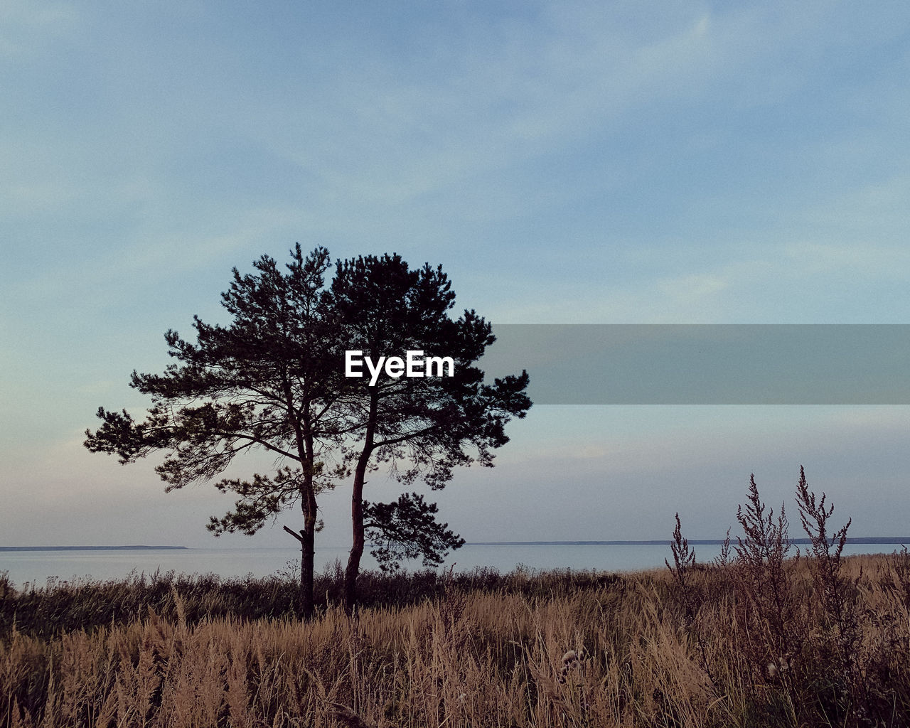 SCENIC VIEW OF LAND AGAINST SKY