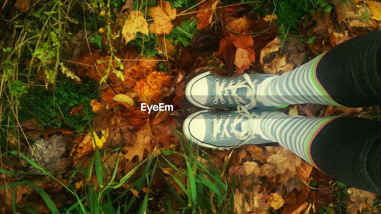 LOW SECTION OF PERSON STANDING ON FIELD SURROUNDED BY FALLEN LEAVES