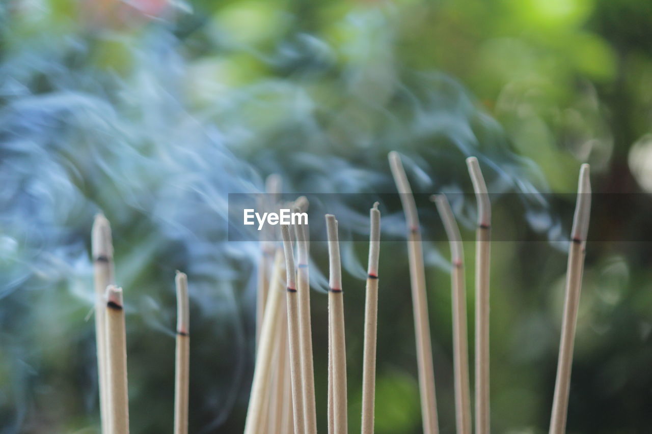 Incense burning to worship sacred objects or to worship the lord buddha.