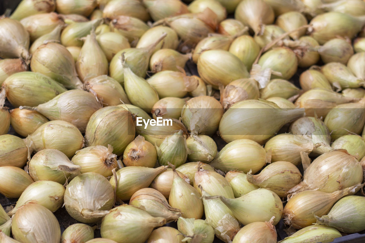 Full frame shot of onions for sale at market