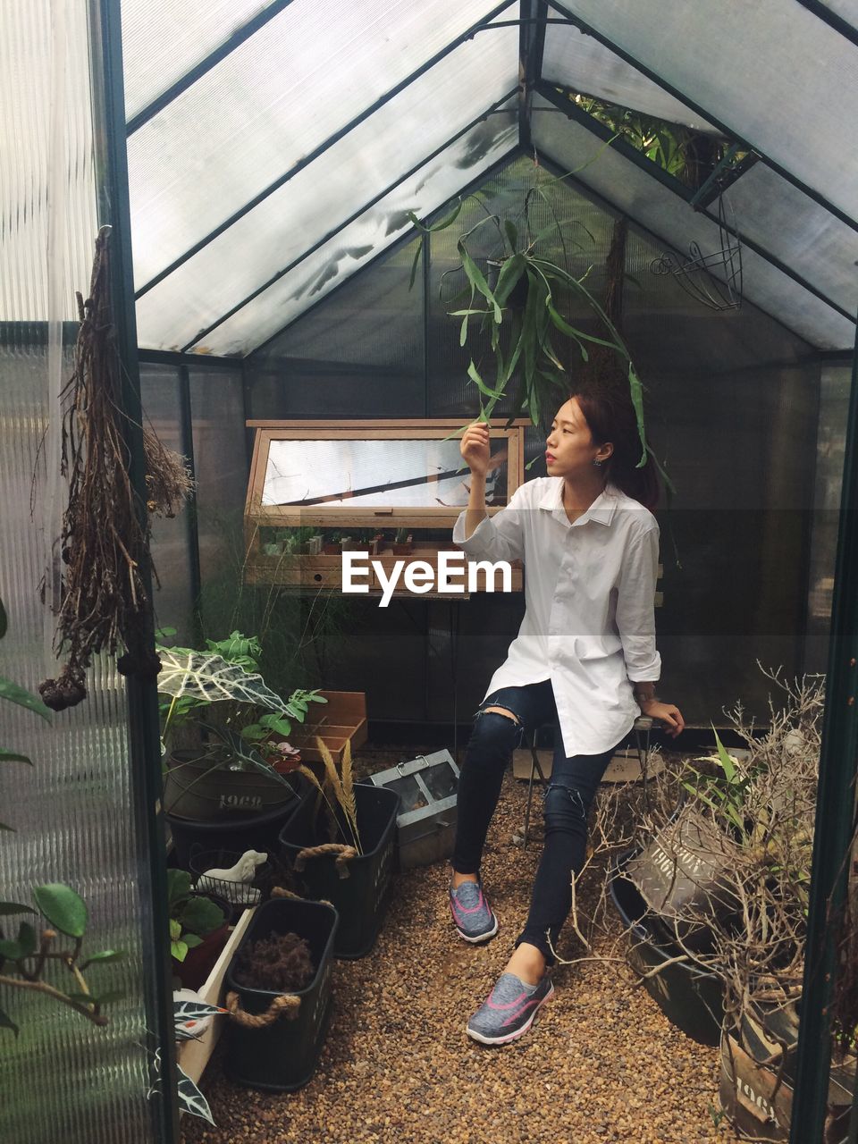 Woman looking at plants in greenhouse