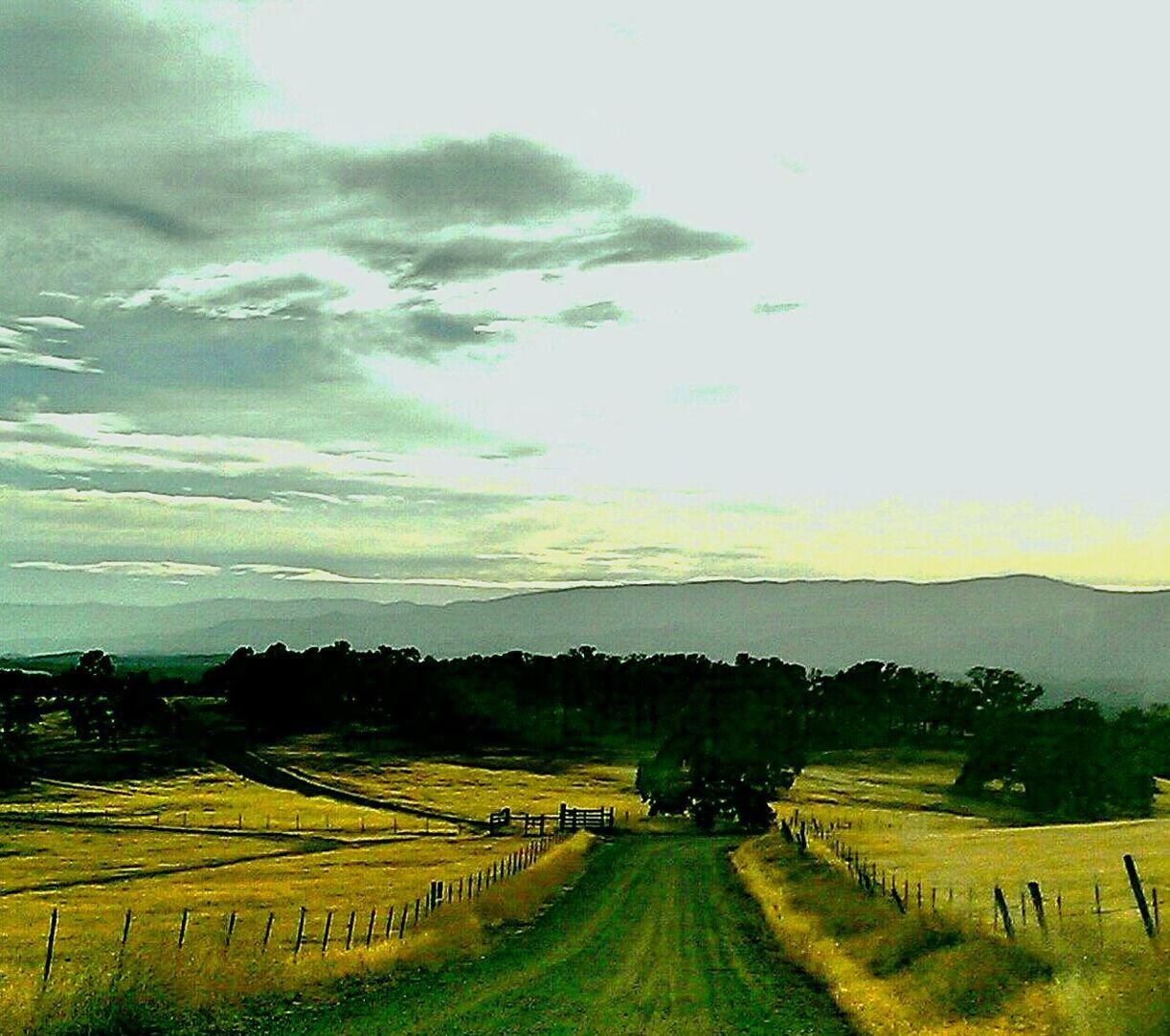 ROAD PASSING THROUGH RURAL LANDSCAPE