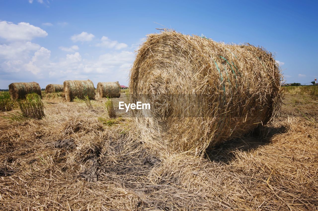 Hay bales on field against sky