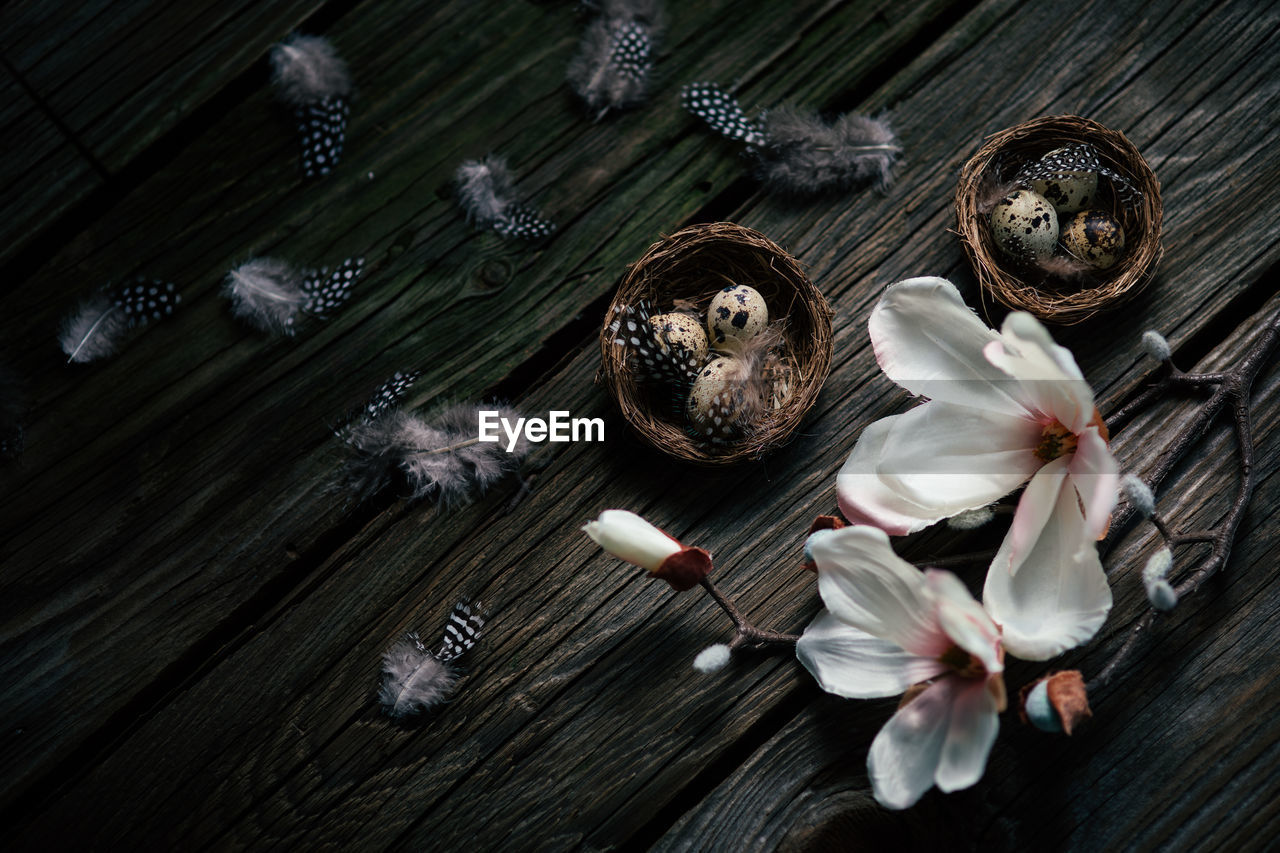 flower, flowering plant, freshness, wood, plant, macro photography, darkness, high angle view, close-up, no people, food and drink, indoors, beauty in nature, food, nature, table, still life, still life photography, white, black, petal, directly above, fragility, dark, inflorescence, spice, wellbeing