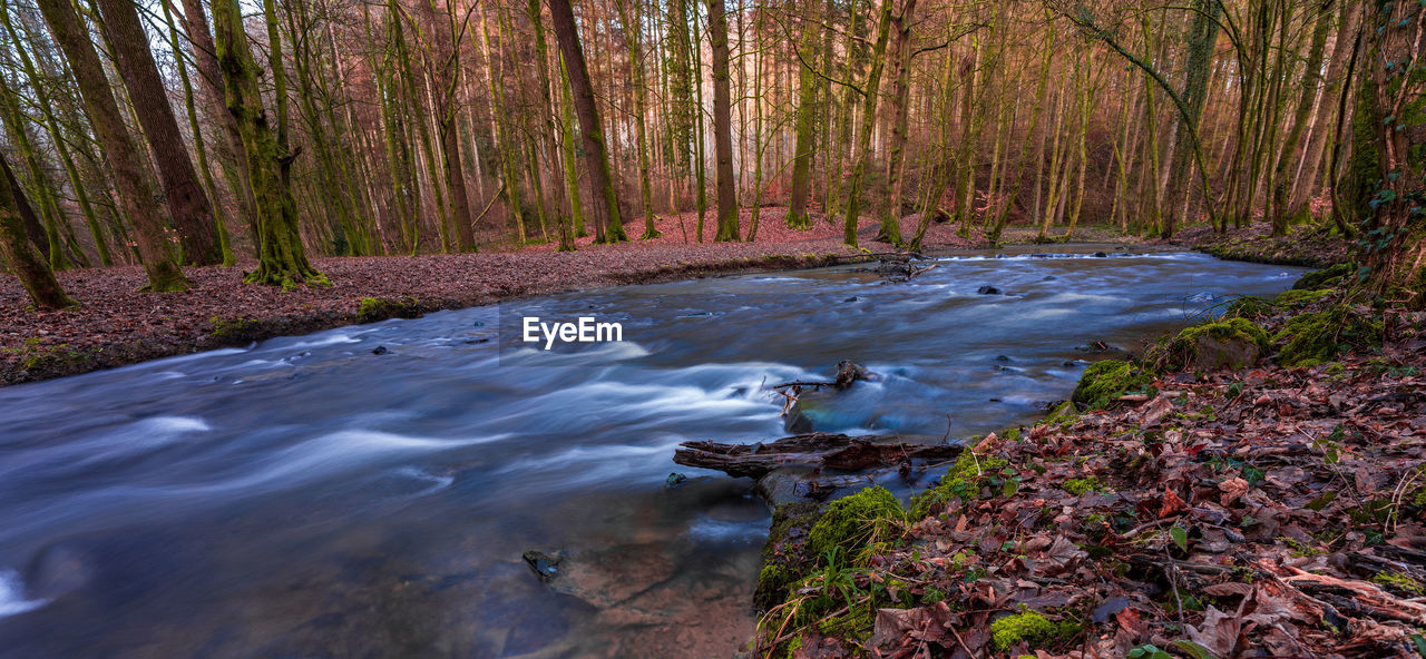 Small river in the forest, long exposure