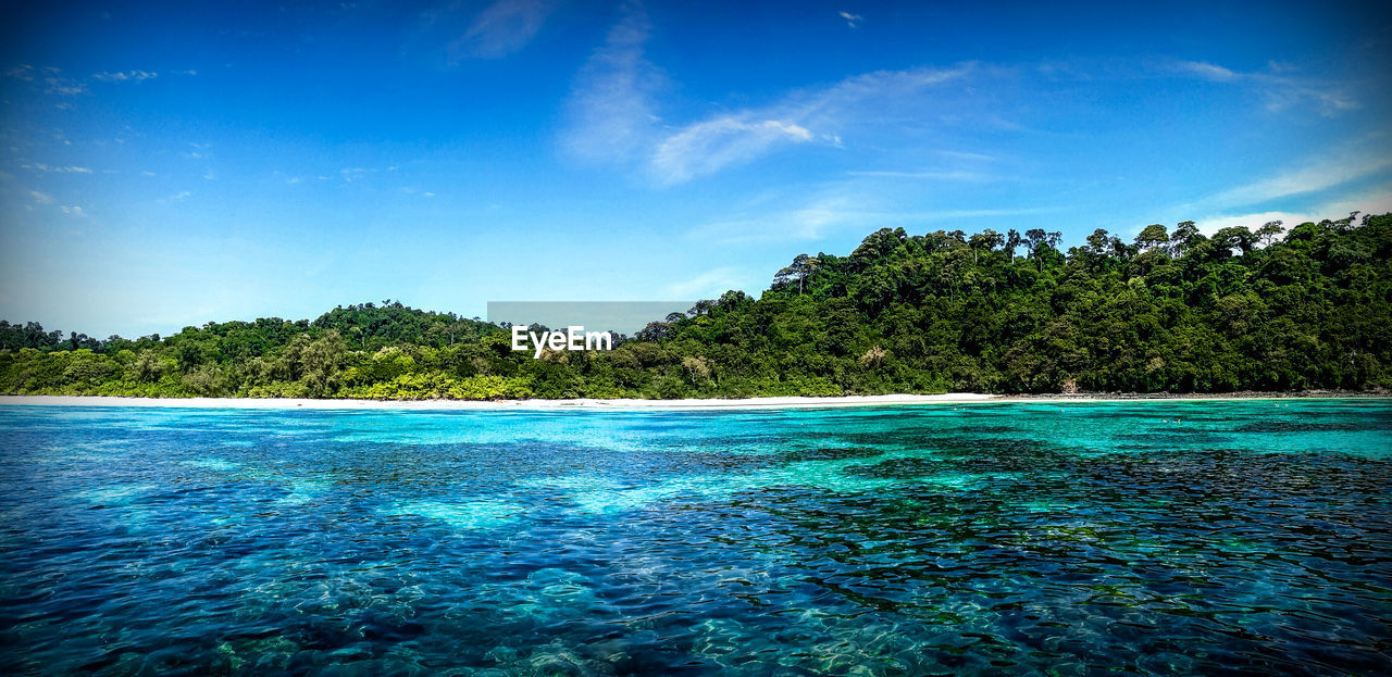 SCENIC VIEW OF SEA AGAINST TREES