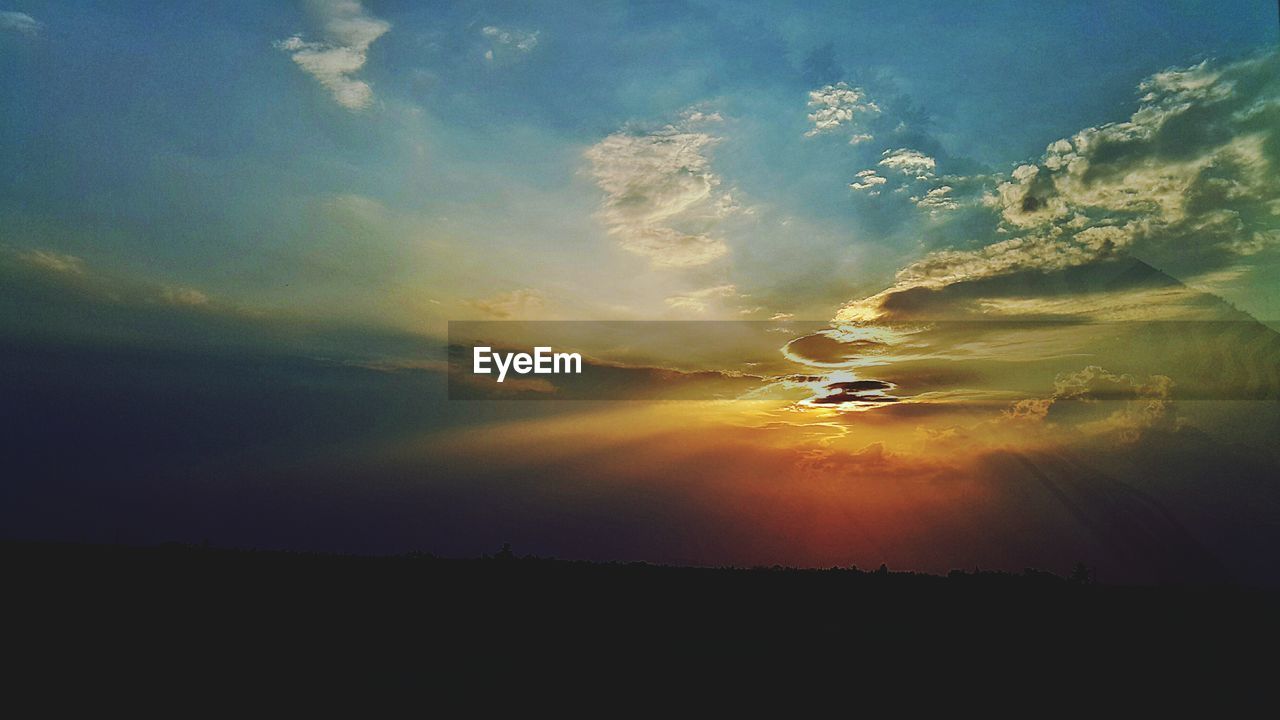 SCENIC VIEW OF TREE AGAINST SKY