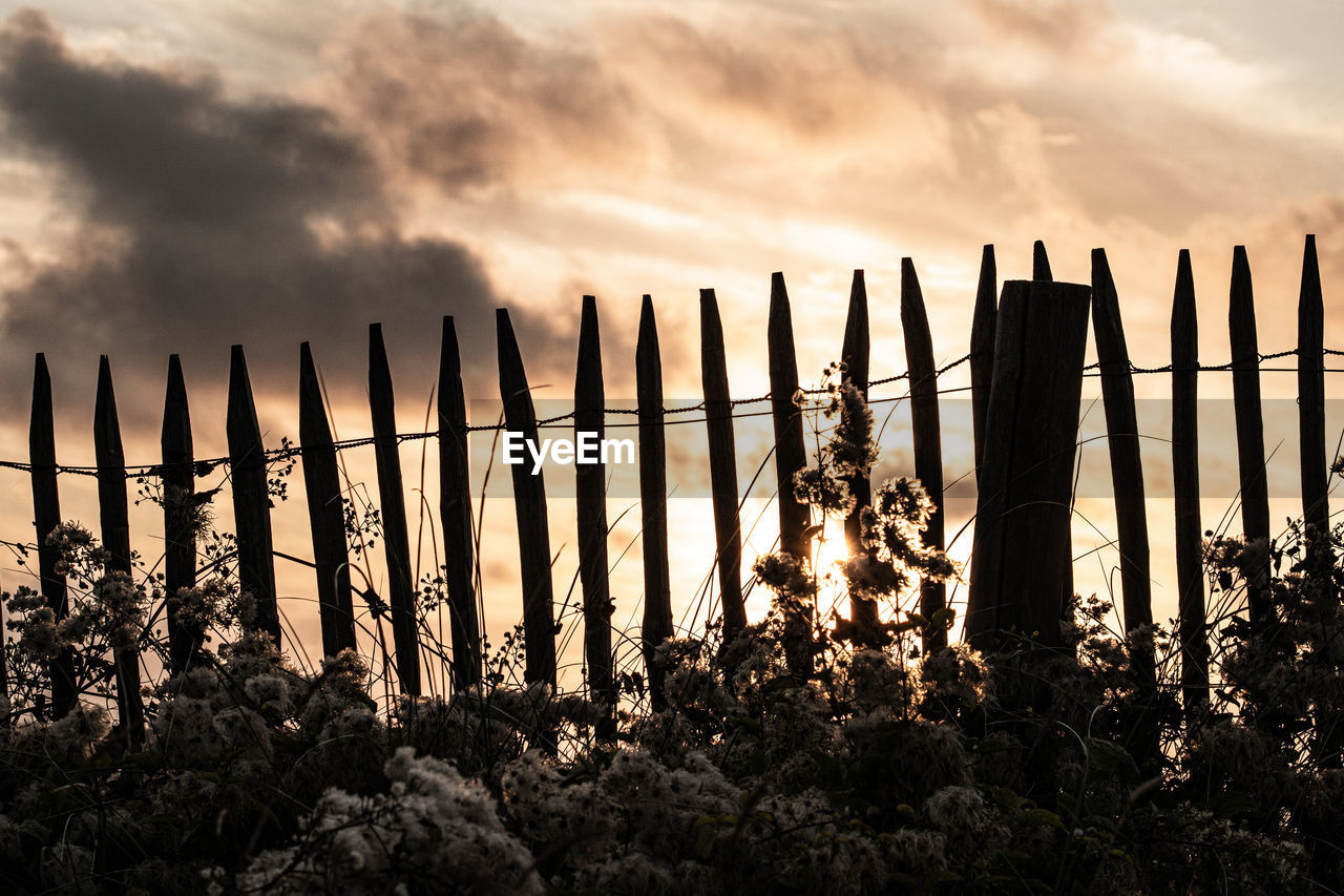 Silhouette plants on wooden fence against sky during sunset