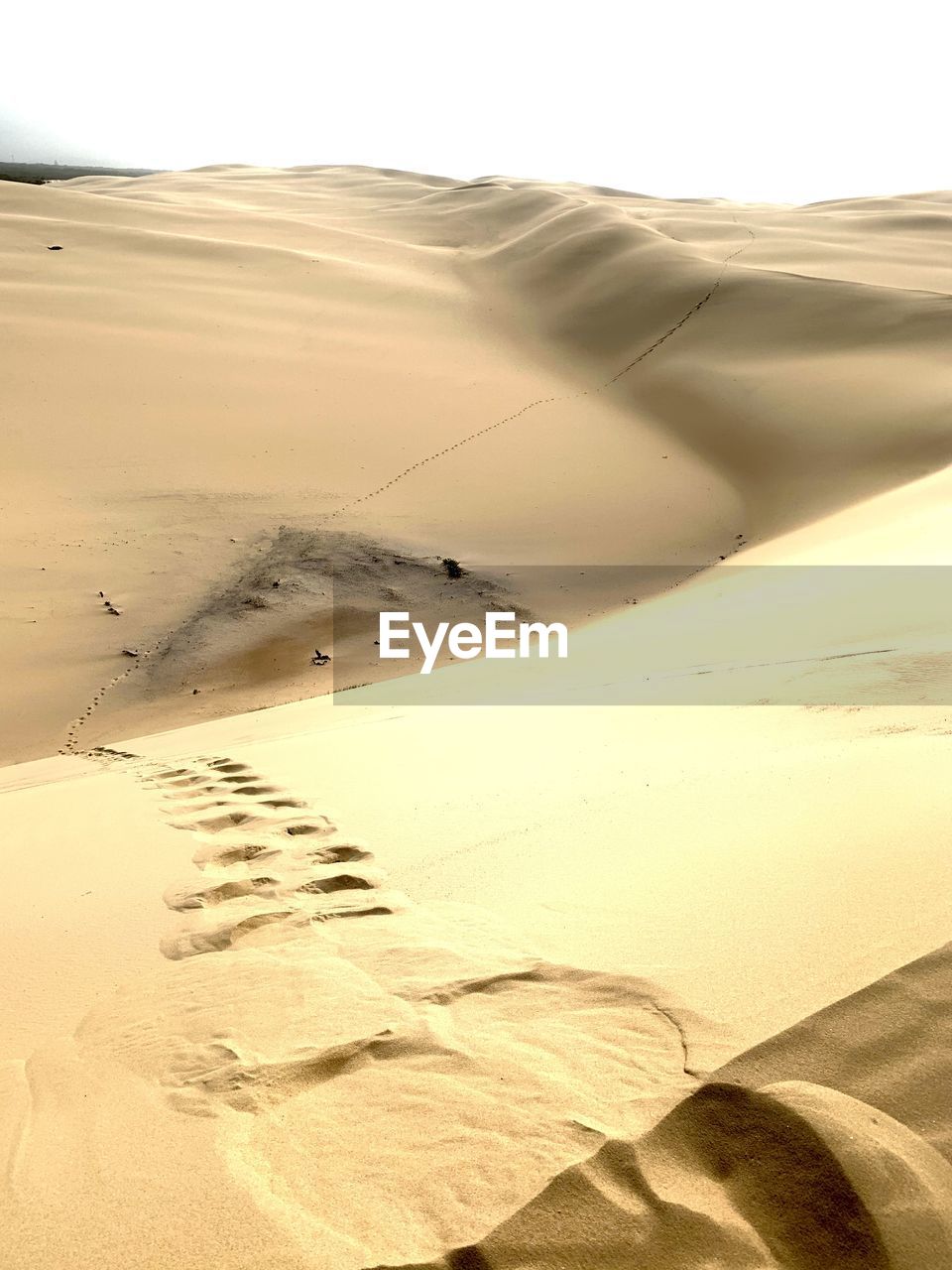 SCENIC VIEW OF SAND DUNES IN DESERT